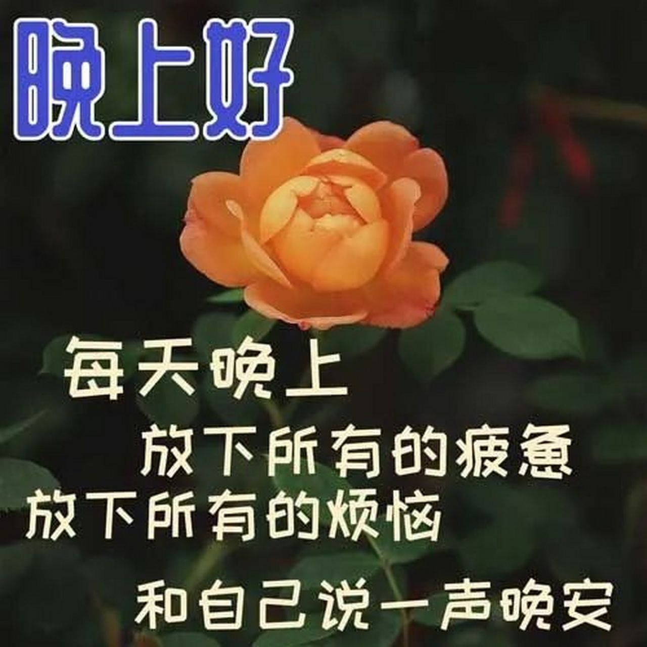 2. 晚安,愿你今晚的月色如诗,心情如画.   3.
