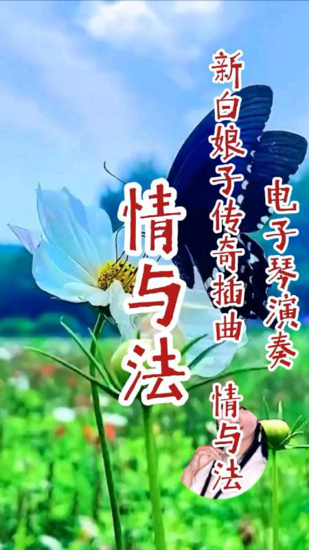 电子琴演奏新白娘子传奇-情与法