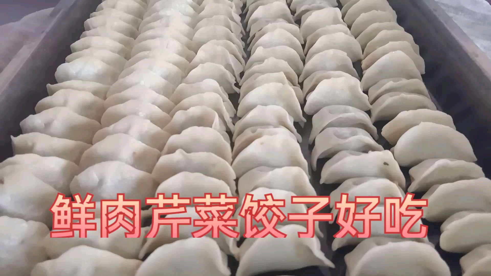 大厨教你鲜肉芹菜馅饺子,简单易学,超级好吃,学习打卡挑战赛