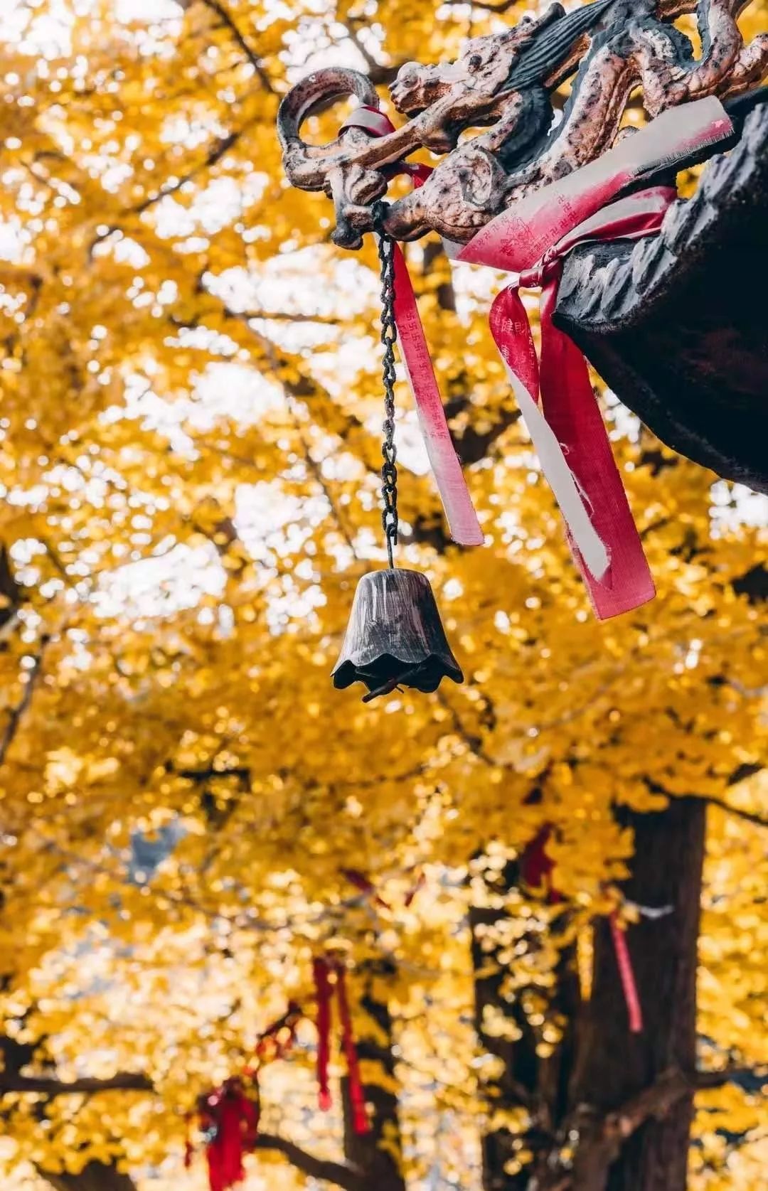 寺院风铃的功德图片