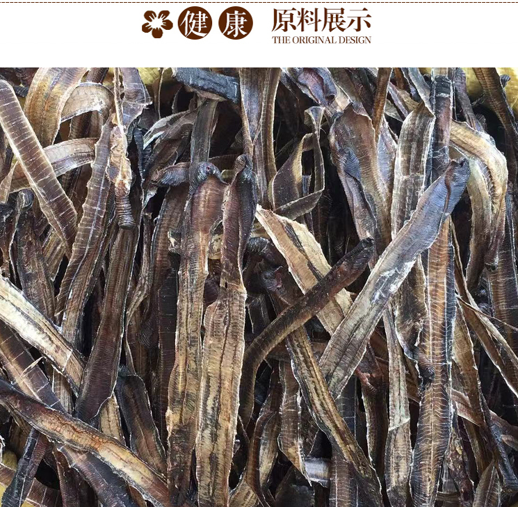 广地龙养殖需要哪些条件?