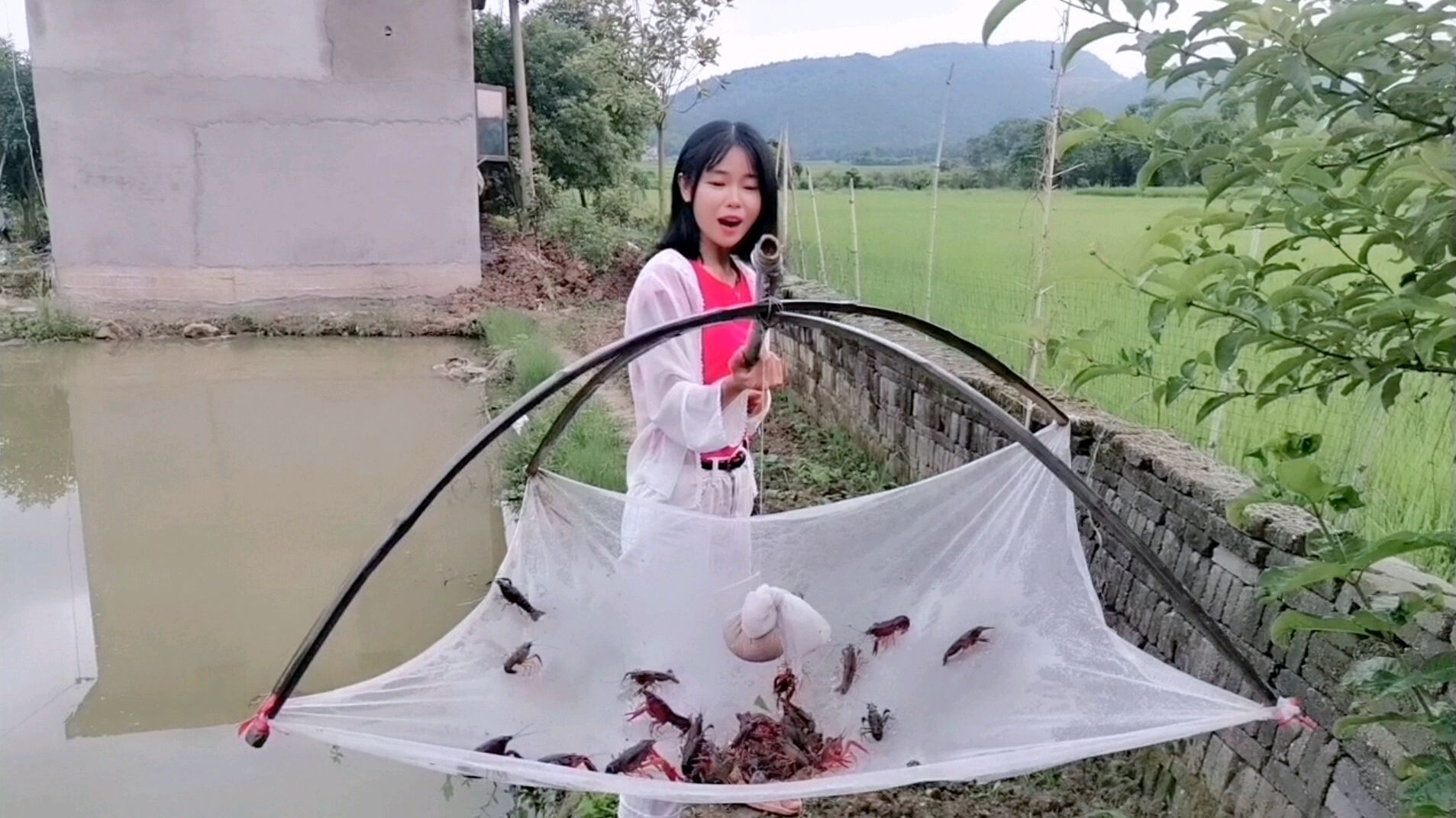还是40年前的钓虾方法好用,一竿上来十几只,姑娘钓得不想回家!