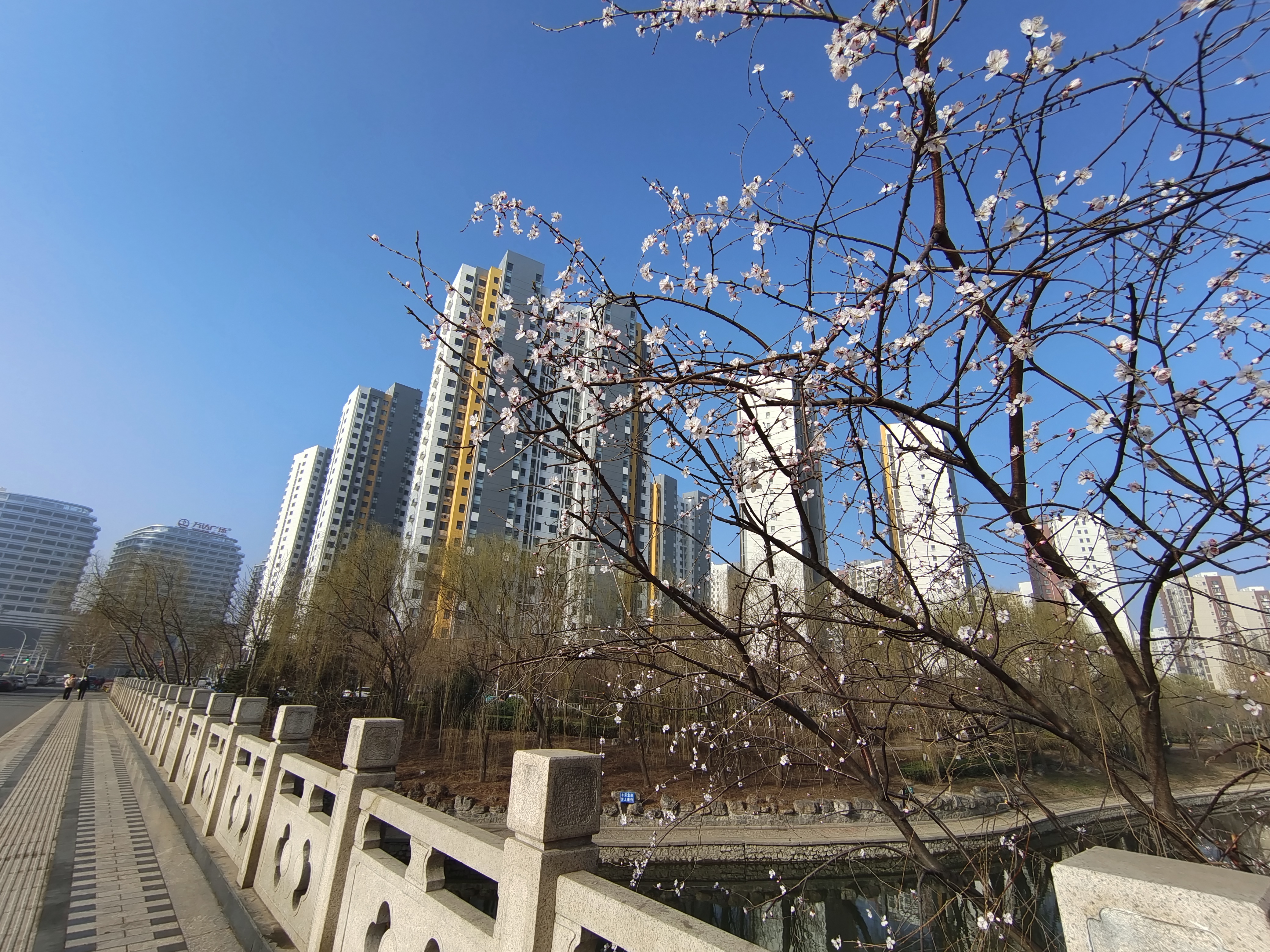 2022年3月14保定市府河公园