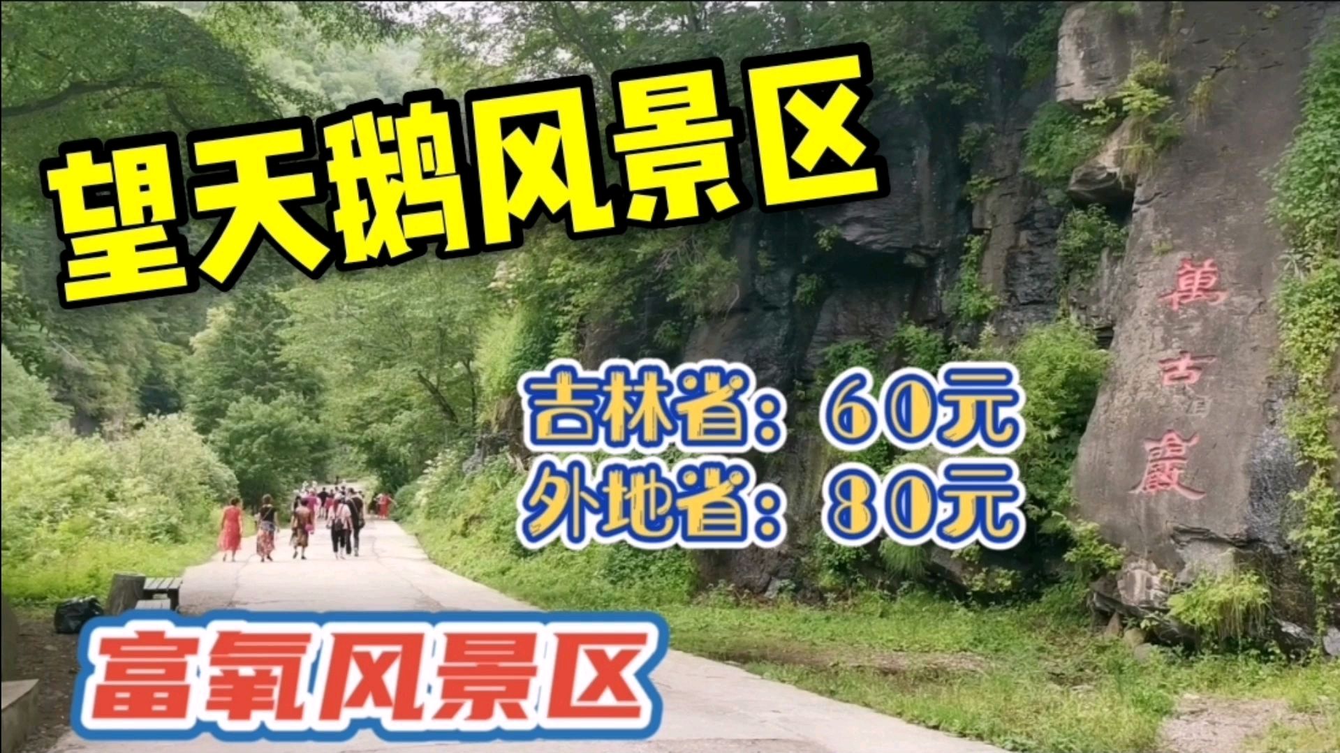 望天鹅风景区!门票本省60元外省80元
