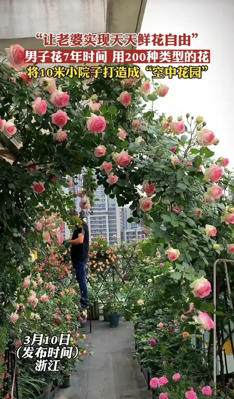 太惊艳:男子花七年时间打造屋顶花园,为老婆实现鲜花自由