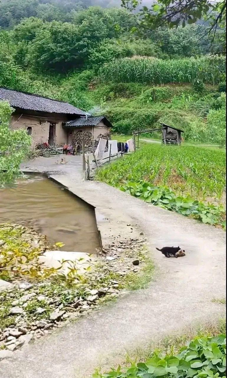 分享图片:印象老屋,多少人的乡愁