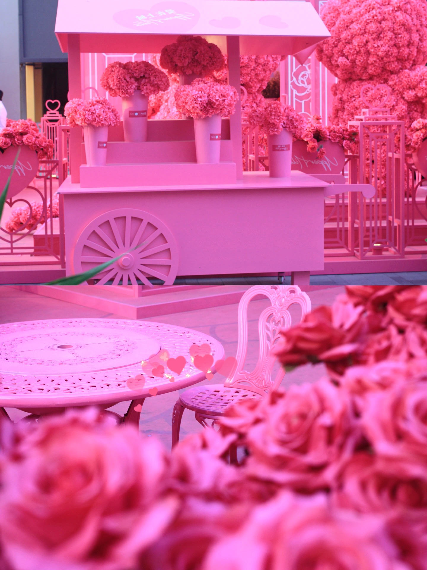 深圳新晋粉色浪漫打卡地