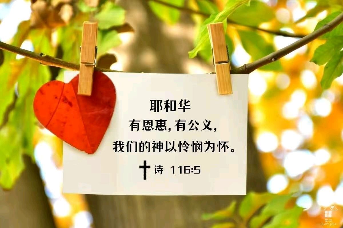 圣经历代志上17:16-22节分享