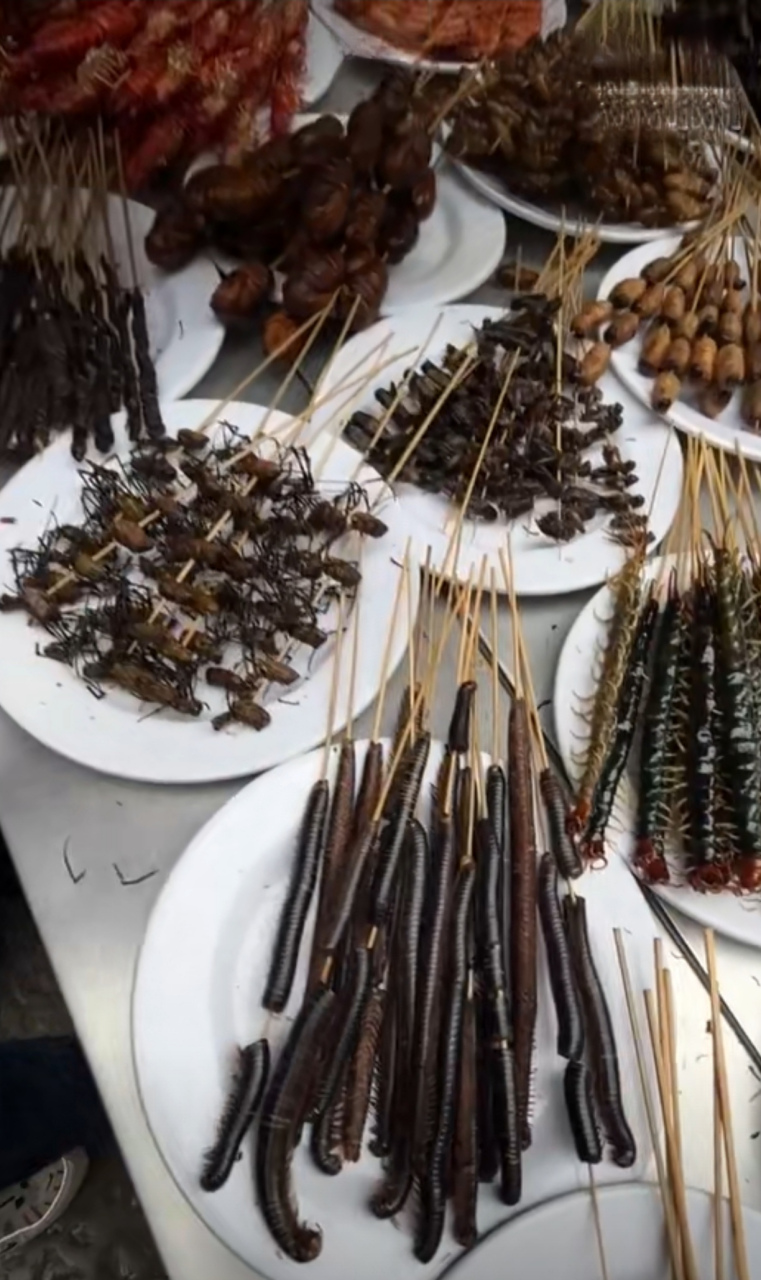 云南美食各种炸虫子,你敢尝试吗