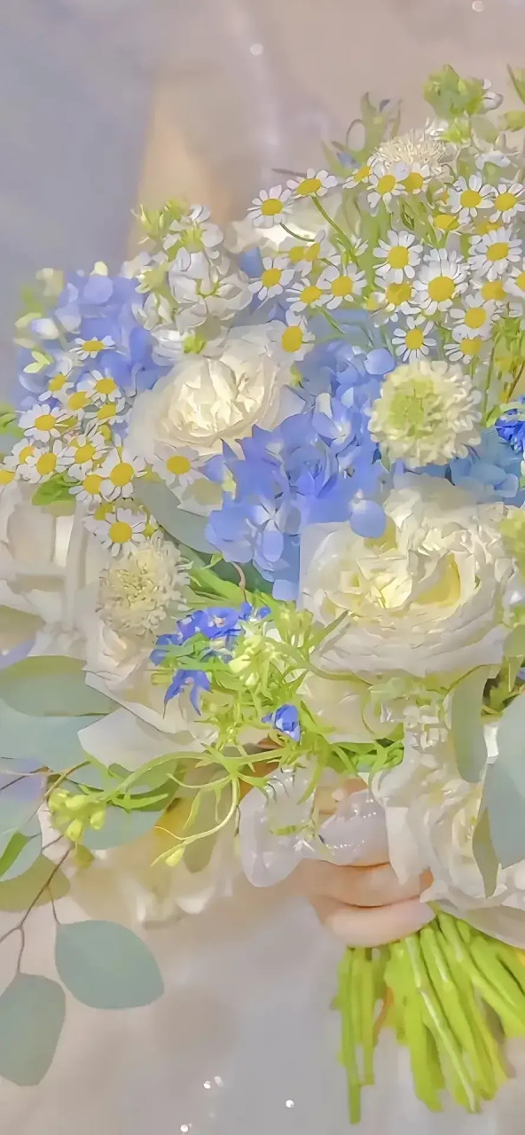 鲜花壁纸,芬芳素雅,妙香久远