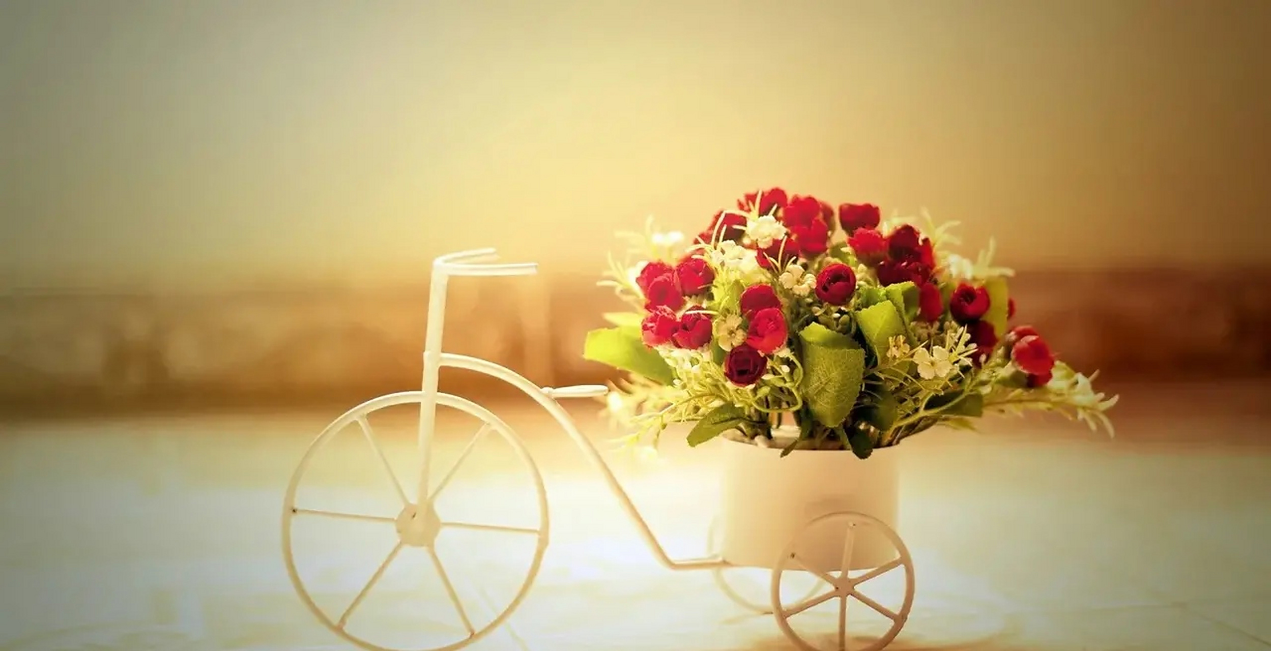 最好的生活状态  人到中年,最好的日子不是惊艳,不是繁华而是远离喧嚣