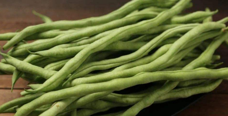 北方种秋豆角是啥时候?