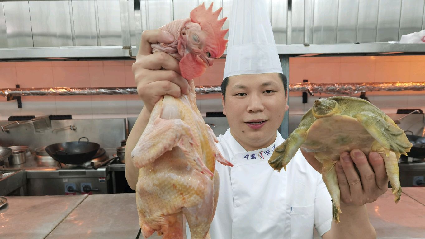 酒店大厨教你：“公鸡烧甲鱼”的宰杀处理方法和制作全过程