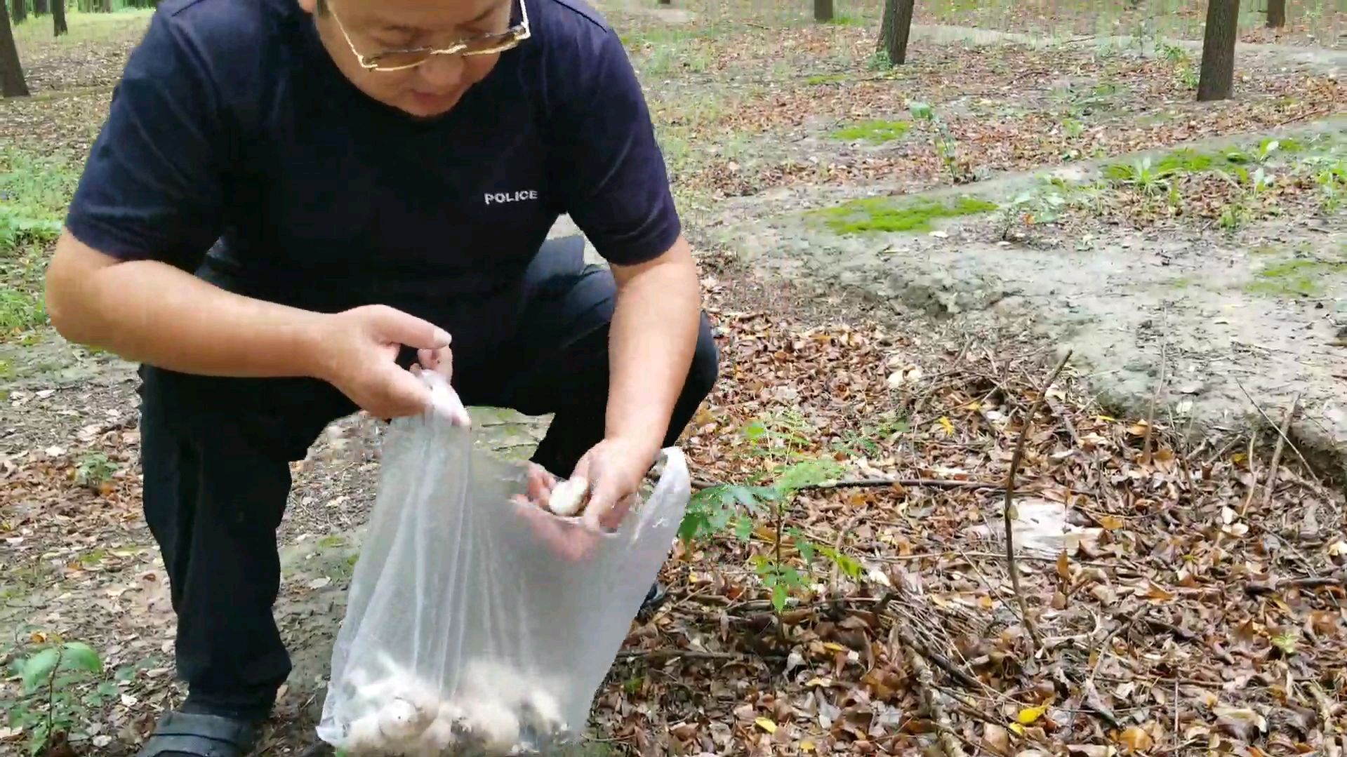 一场秋雨,树林里满地都是野生蘑菇,海哥亲手做个蘑菇肉揪面片吃