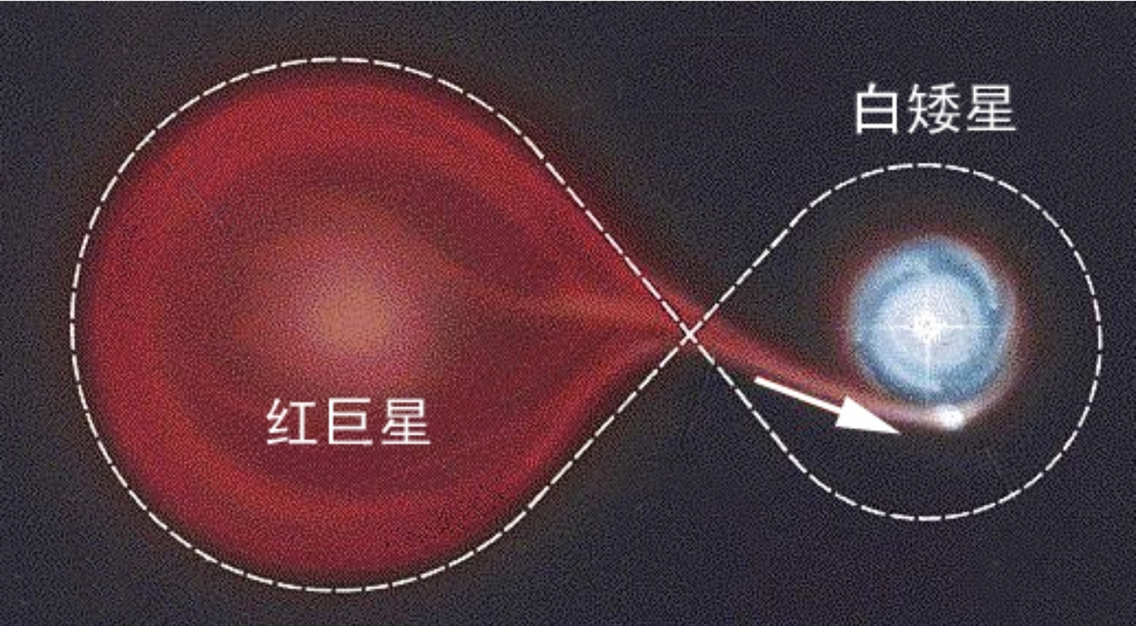 蓝超巨星和红巨星谁大图片