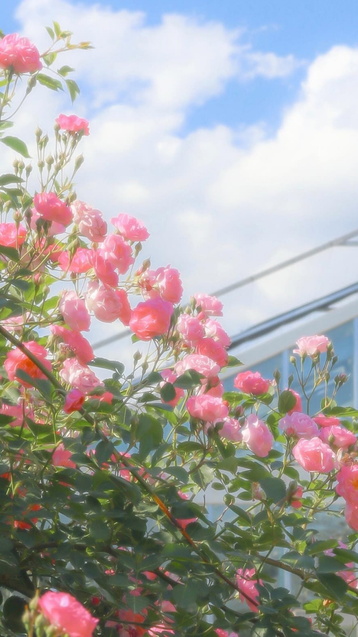 由于这	几天官府事多,暂缓交纳,乡民就暂且将银子带回,准备	还给亲戚