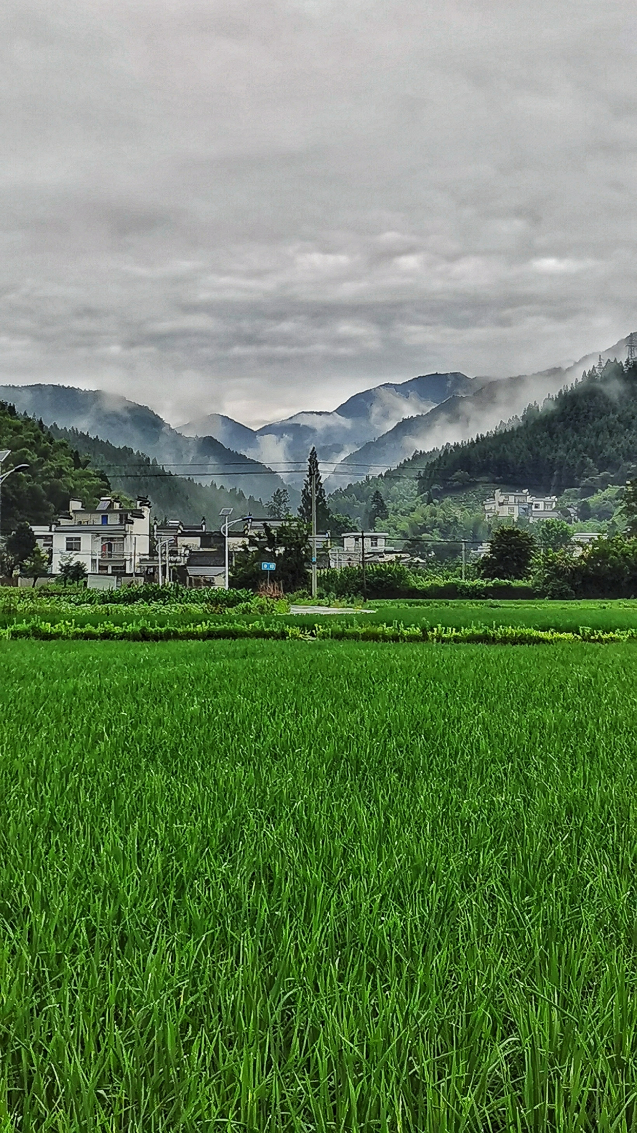 江南处处有好景!