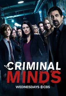 犯罪心理第十三季在线观看