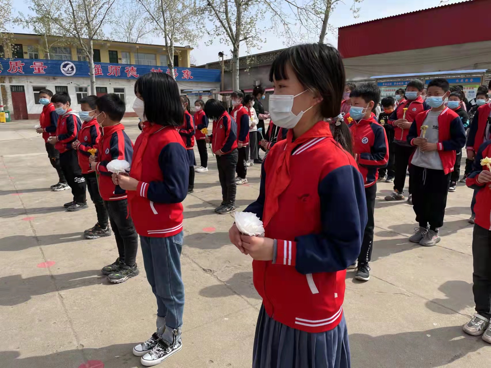 沙河镇松兰堡村鸡图片