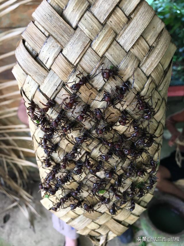 用我的指尖搅乱吧