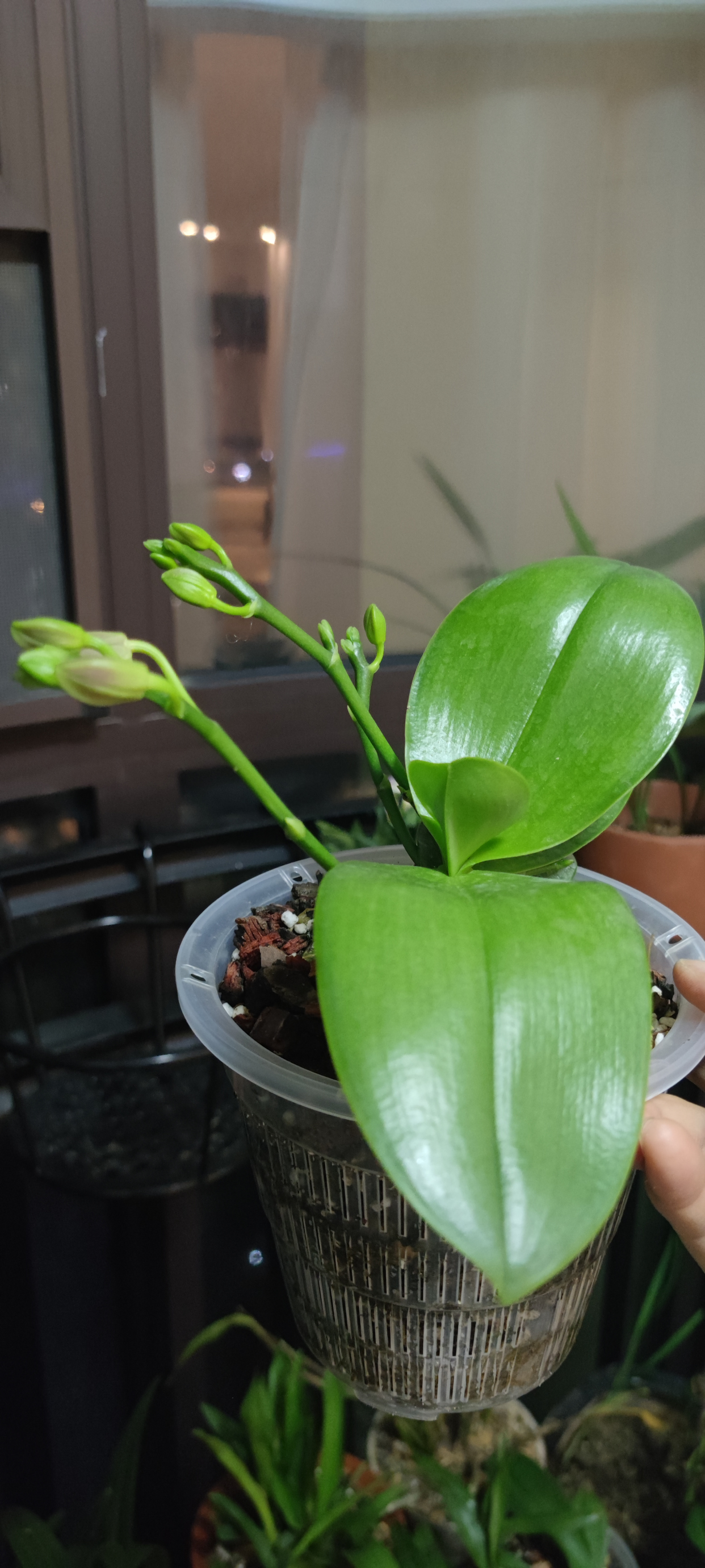 21年发的朋友圈