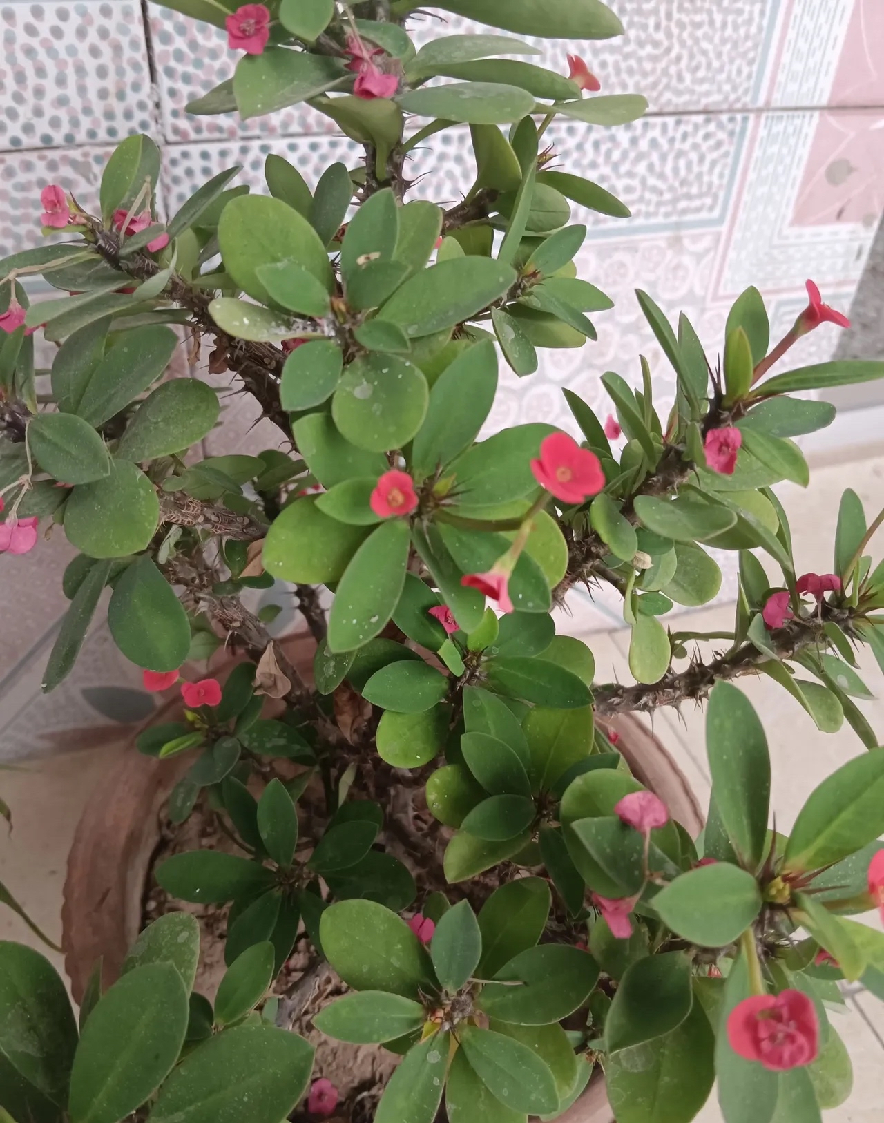 有哪些事情,是人到中年才明白的?