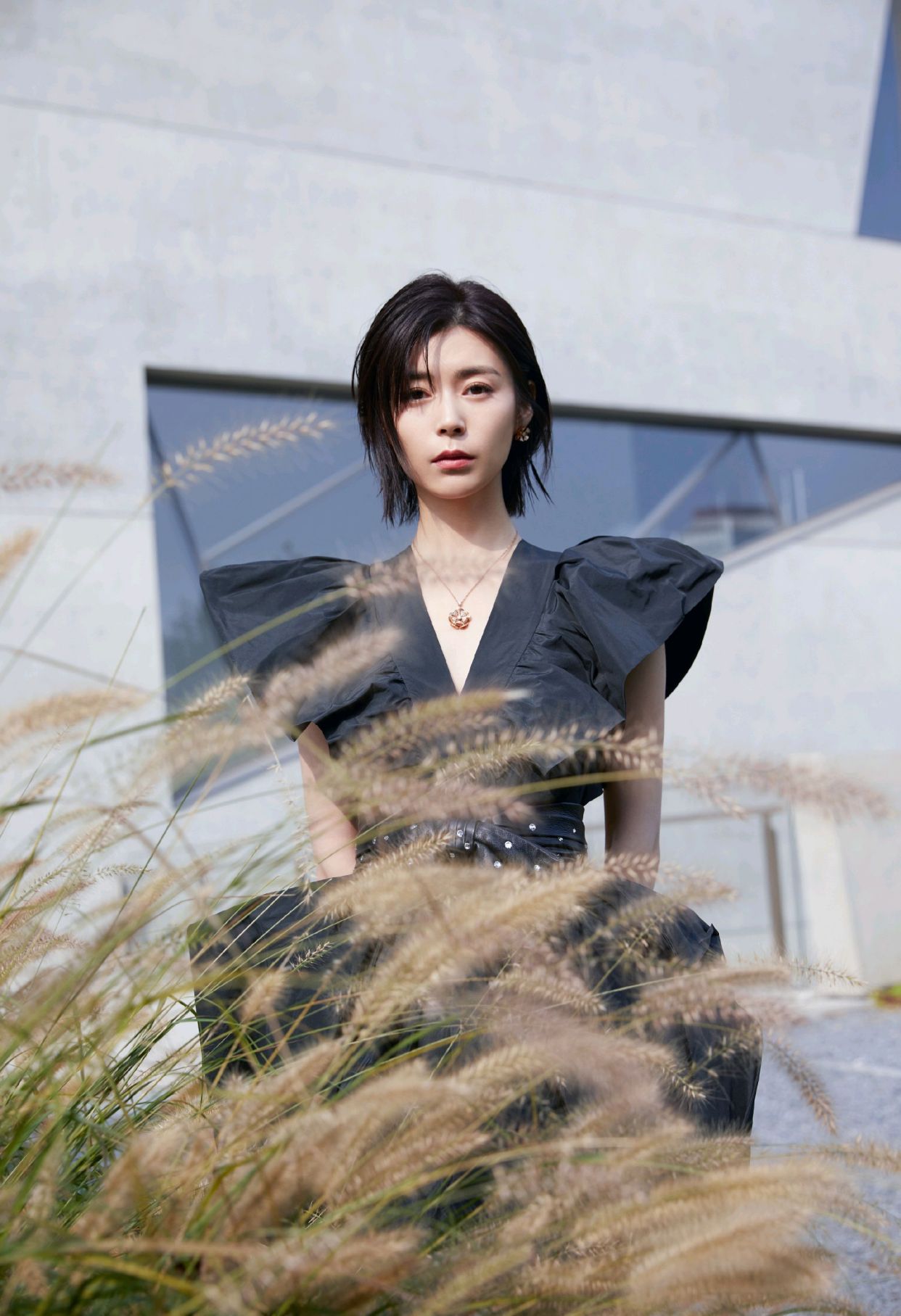 明星写真美图|卢杉