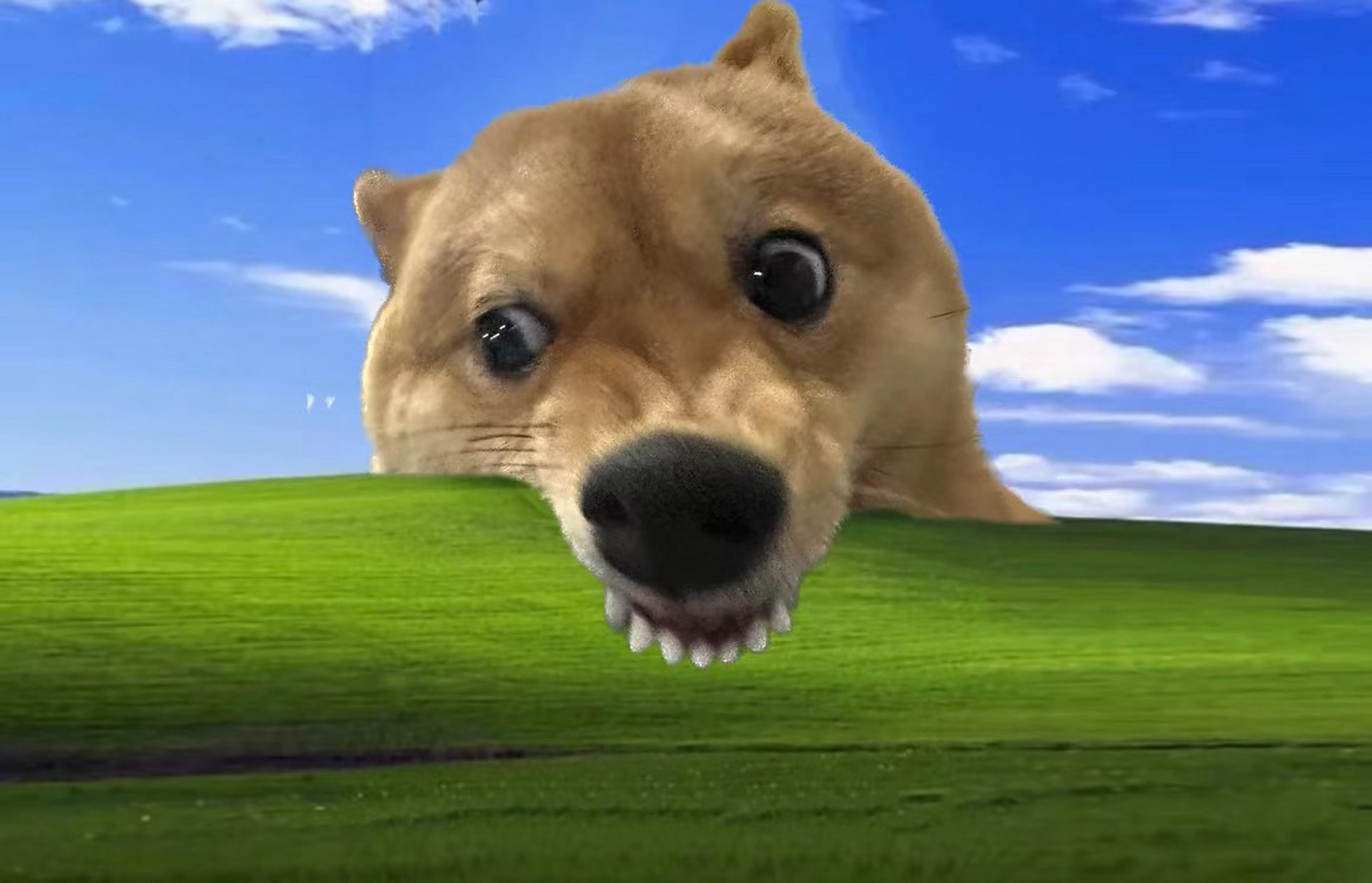 打工人的壁纸!让人知道我多抓狂![发怒][发怒][发怒][发怒] #打工 