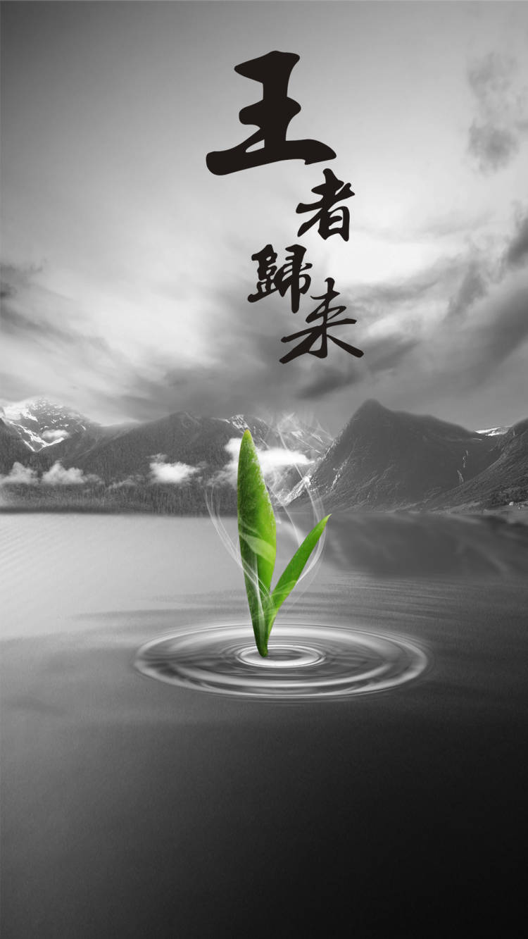 走遍千山万水,归来任是少年