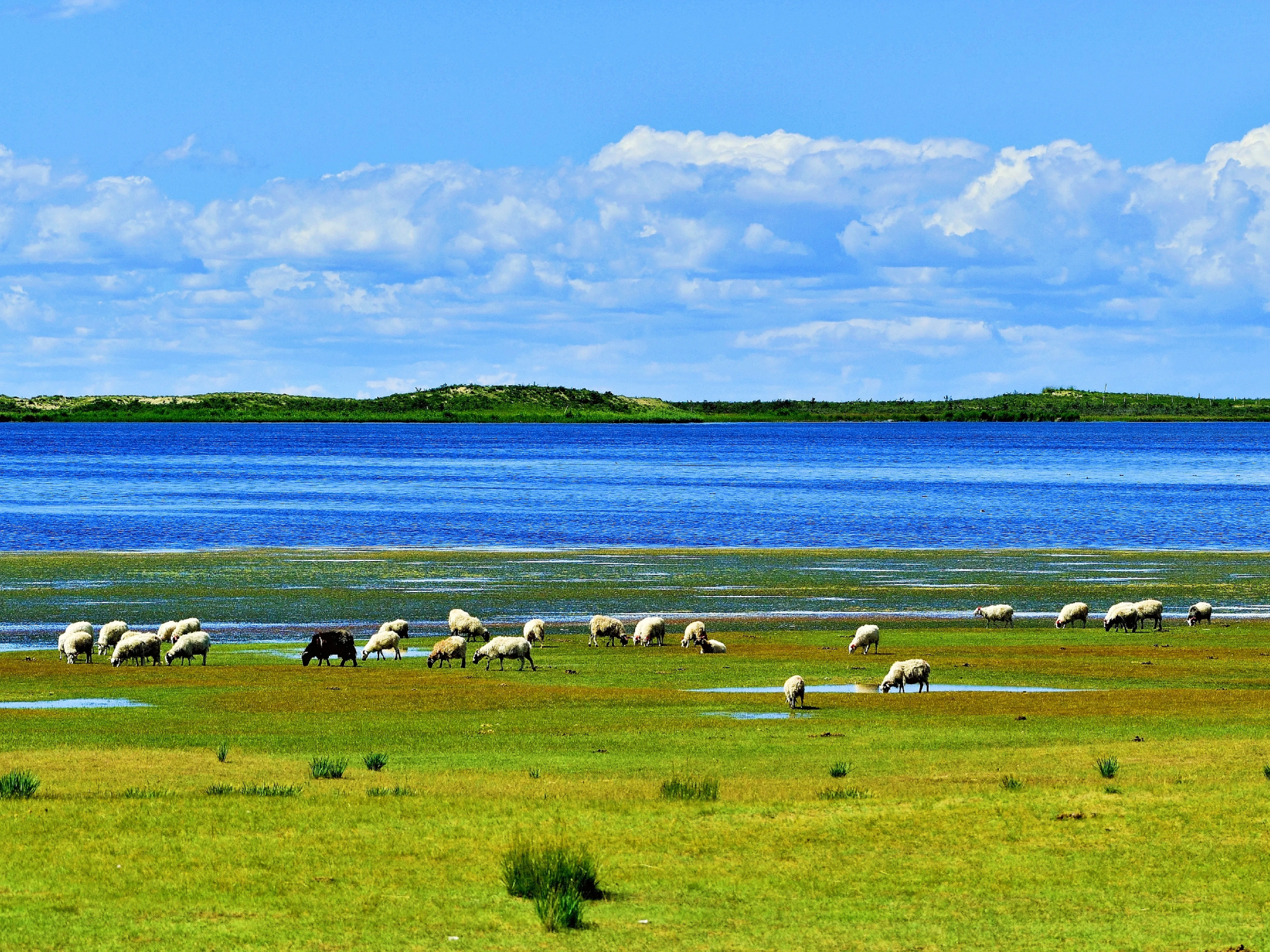 中华美景集锦:中国最大的内陆湖位于青海,名为青海湖