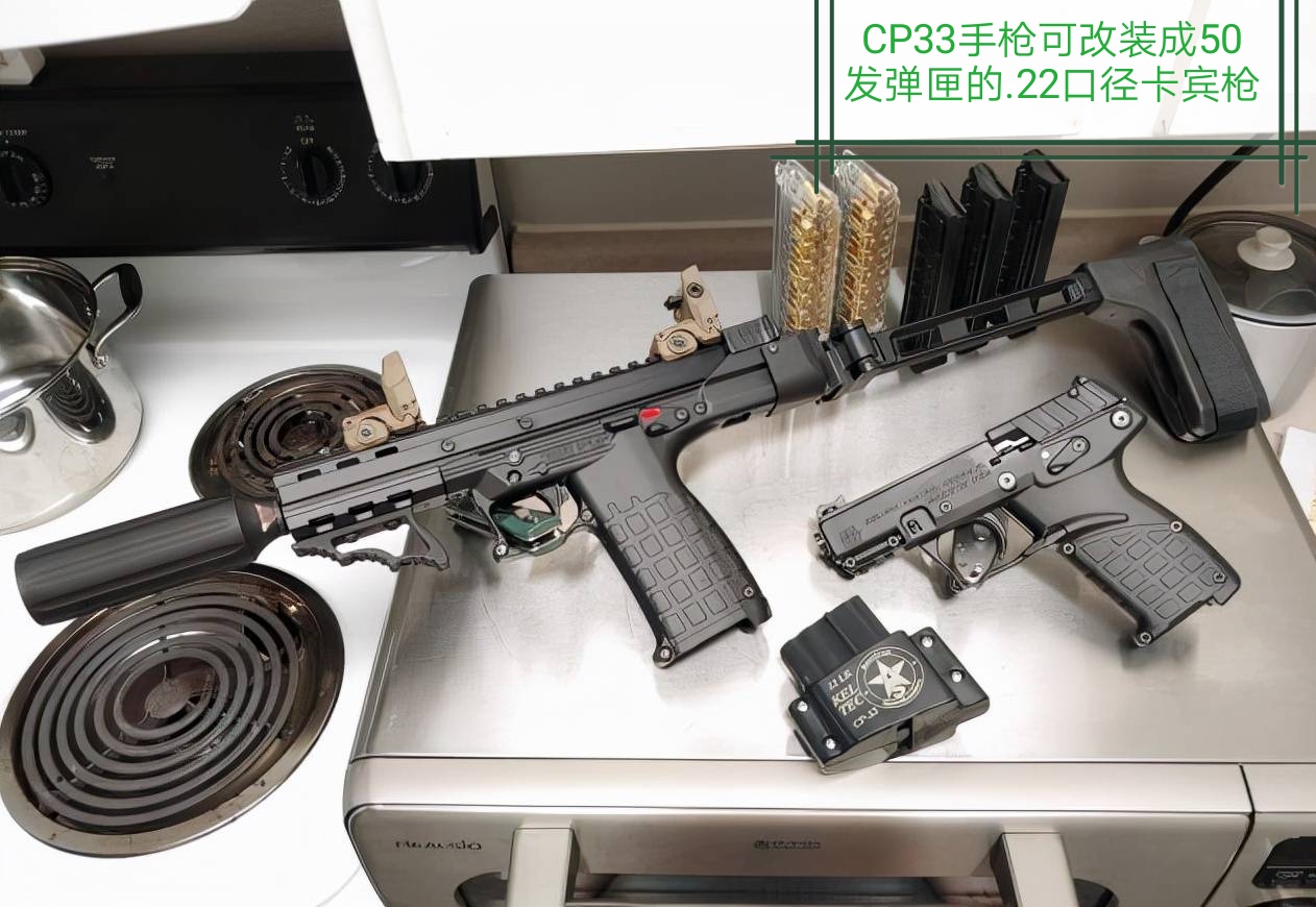 什么枪适合对付丧尸? - 哔哩哔哩