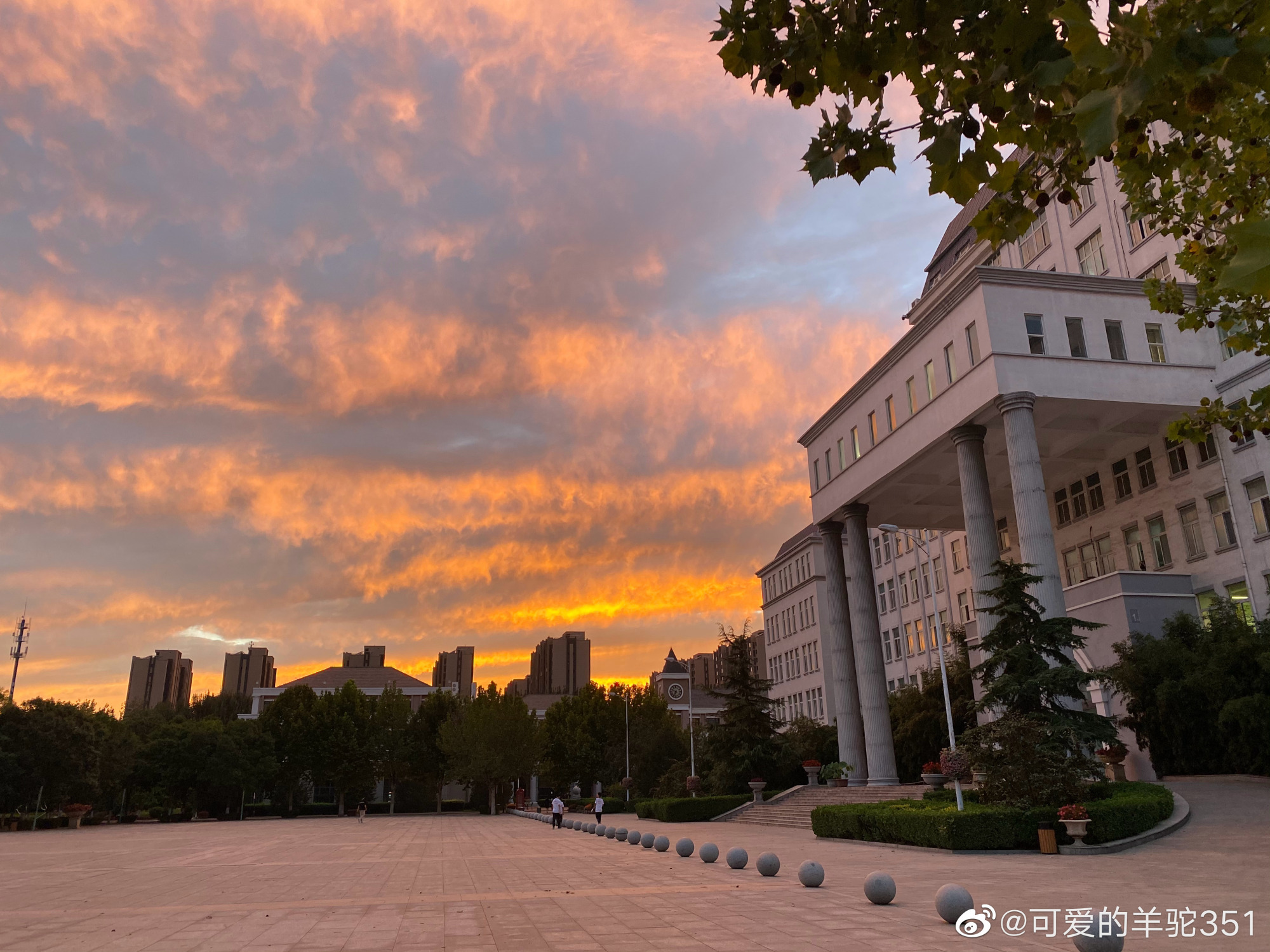 2022年你高考报名成功了吗?科德学院校考即将开始