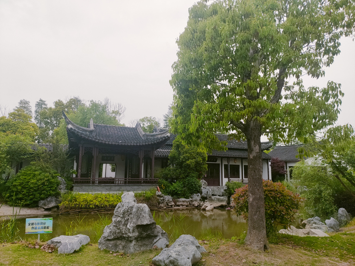 南通·城市绿谷——游记