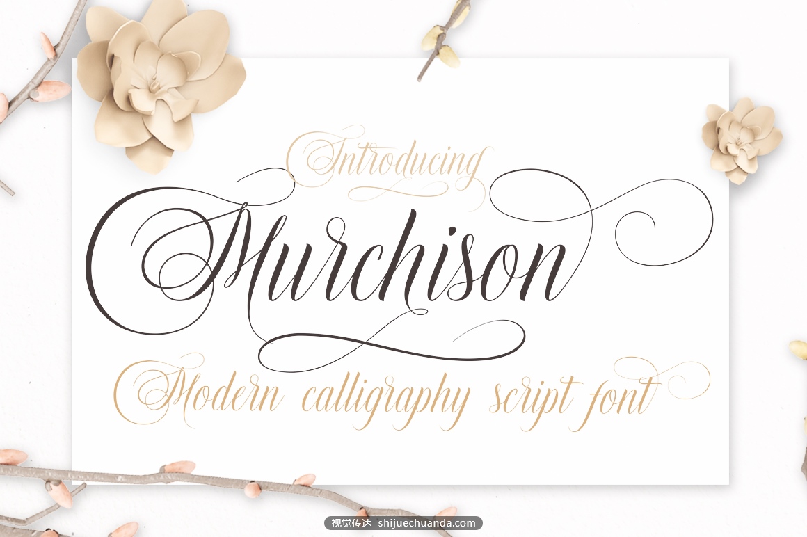 Murchison-by-Stripes-Studio.jpg