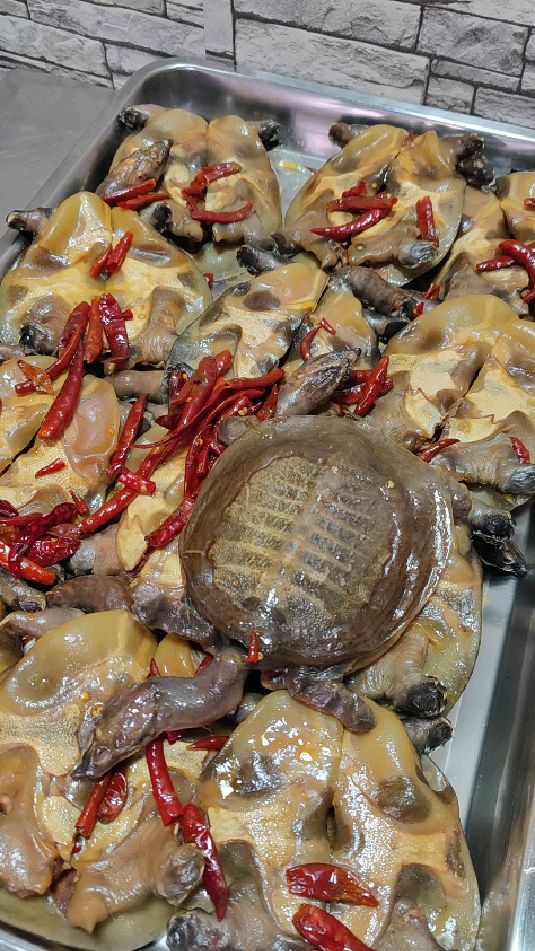 麻辣甲鱼出锅,过年团圆必不可少-度小视