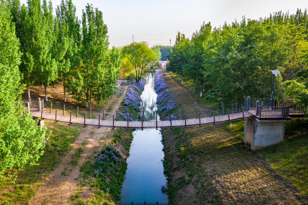 这里是朝阳农村|请到朝来森林公园三期,纵享体育文化惬意