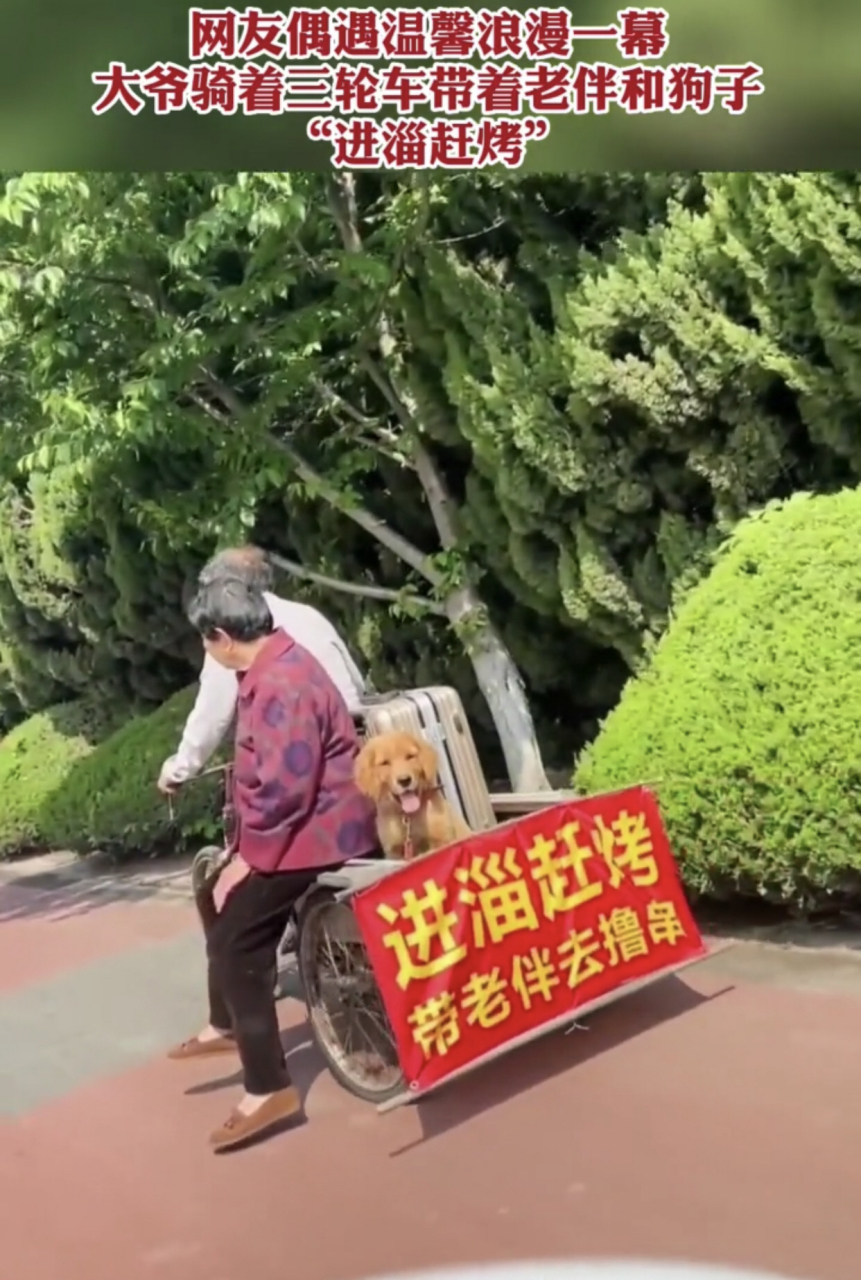 大爷骑着三轮车带着老伴和狗子"进淄赶烤".