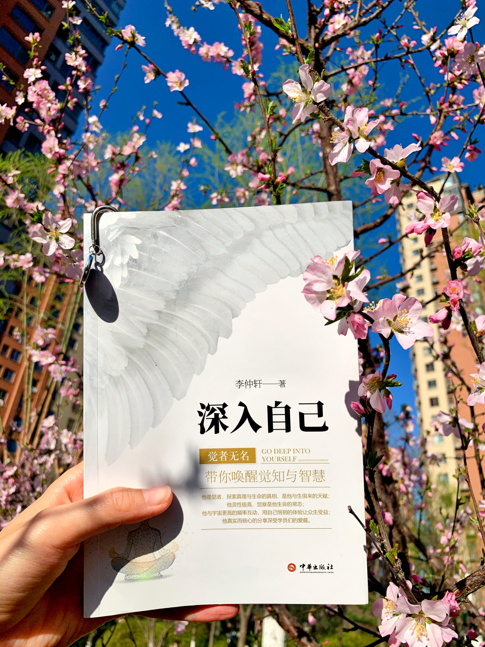 觉者无名李仲轩书籍 #觉者无名李仲轩书籍# #深入自己# #李仲轩深入