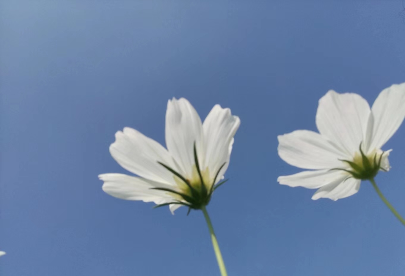 凡事想开点,放松心态