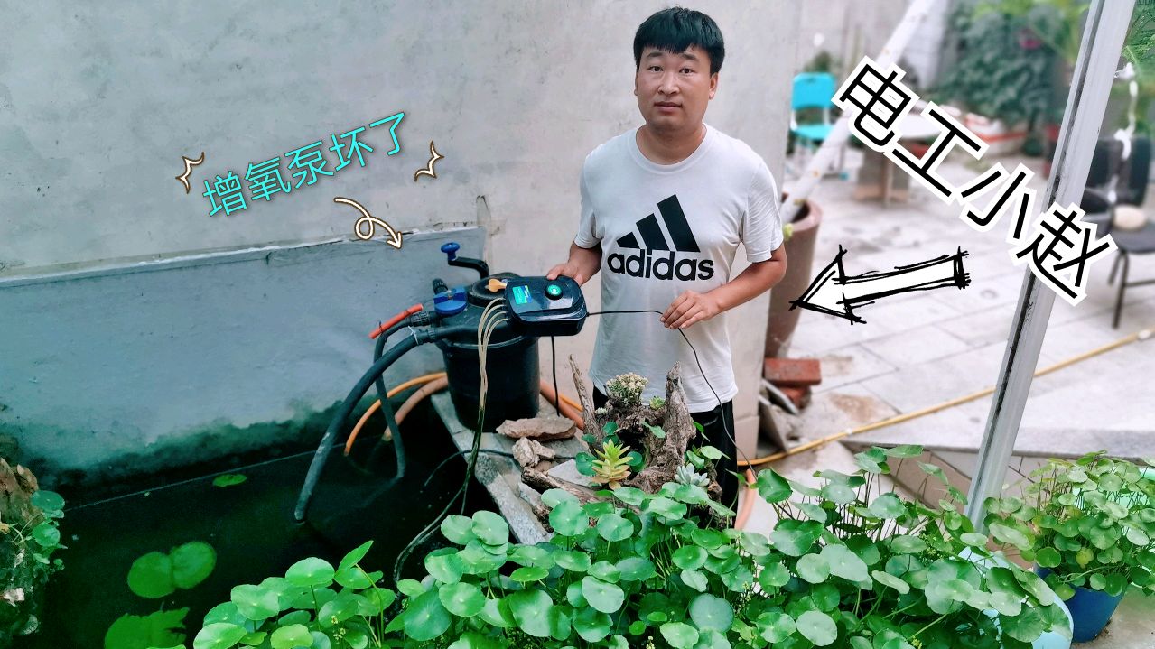 自建鱼池的增氧泵坏了,小赵自己修理一下,到底能不能修好呢