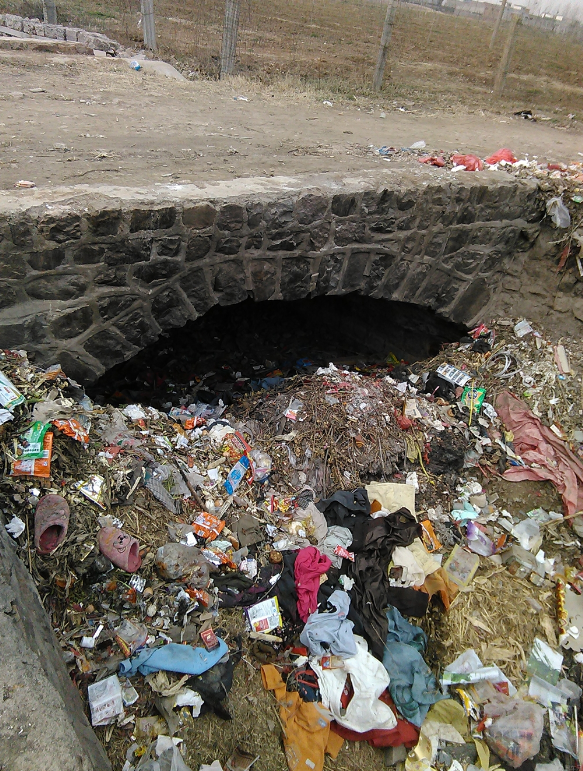 农村生活垃圾处理现状及优化探讨