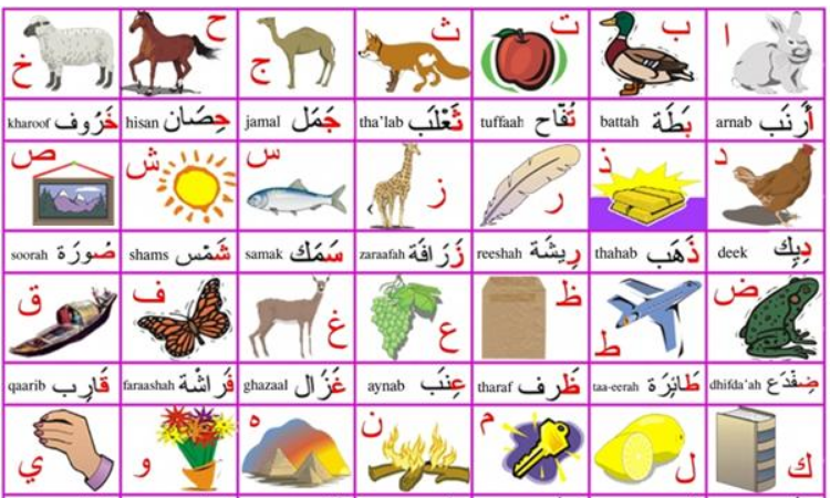 阿拉伯文拼读图片