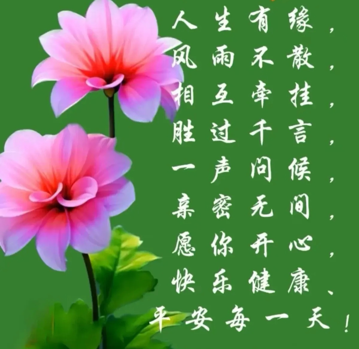 人生有缘, 风雨不散, 相互牵挂, 胜过千言, 一声问候, 亲密无间,冈 