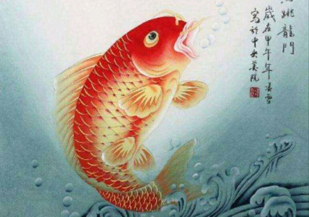 唐朝为什么禁止吃鲤鱼