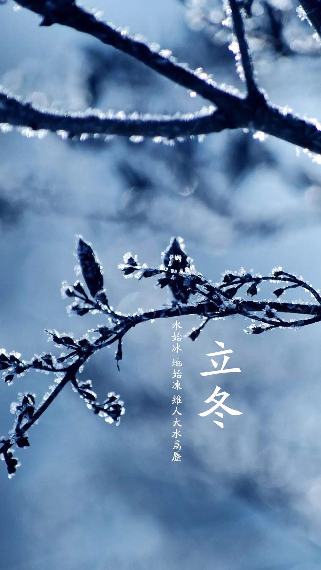 今日之立冬节气壁纸 冬天你好