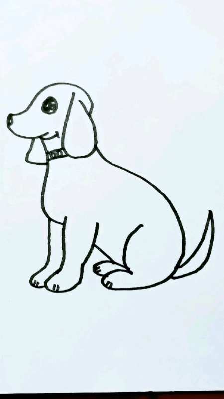 狗狗简笔画大型犬的简单画法看完你也会