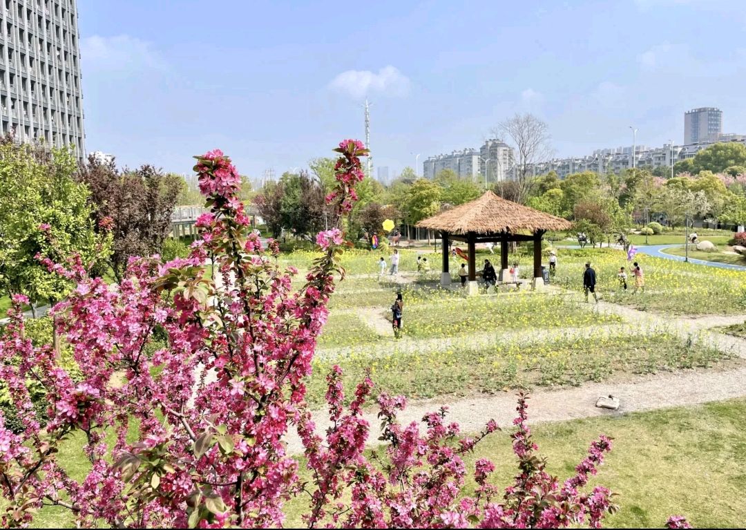 杭州.北塘河公园