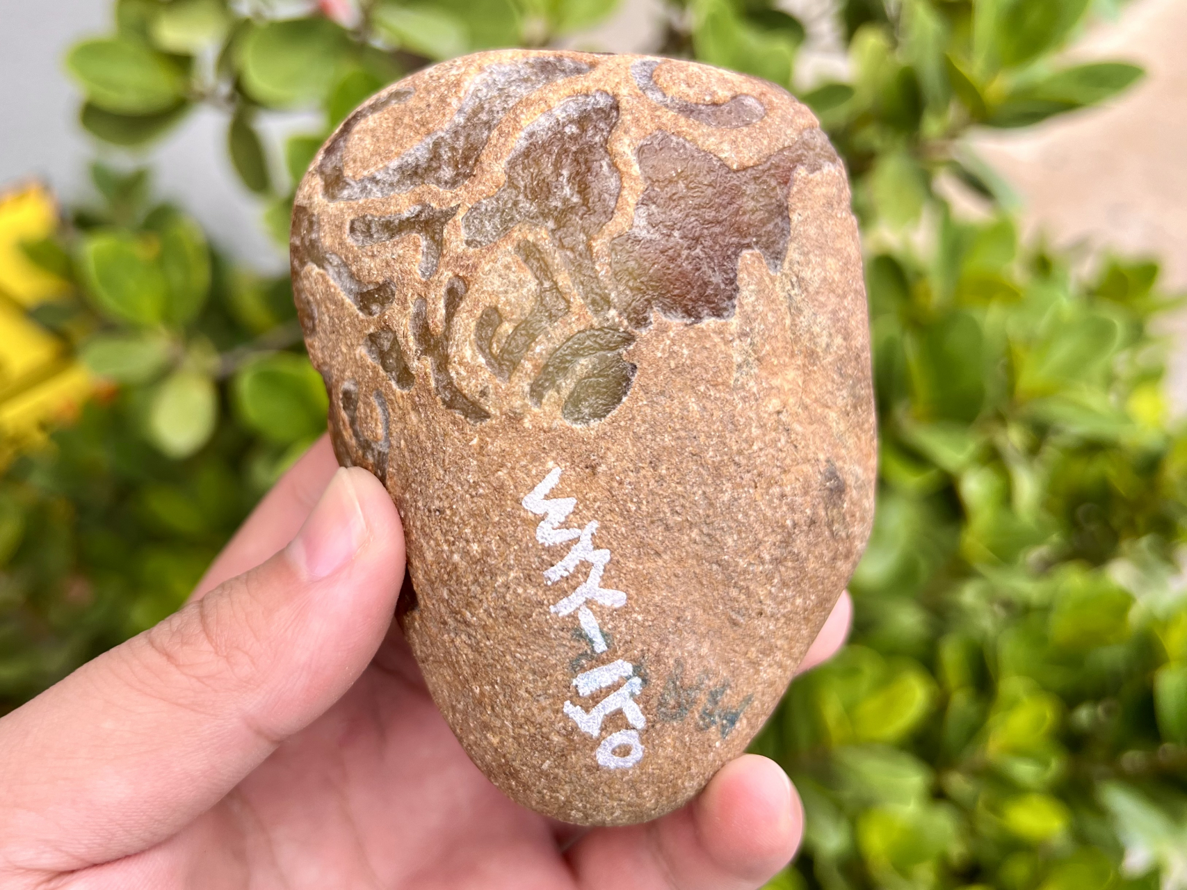 今天给大家带来一块大马坎黄翡飘绿翡翠原石,性价比超高!