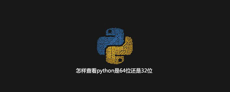 如何检查python是64位还是32位