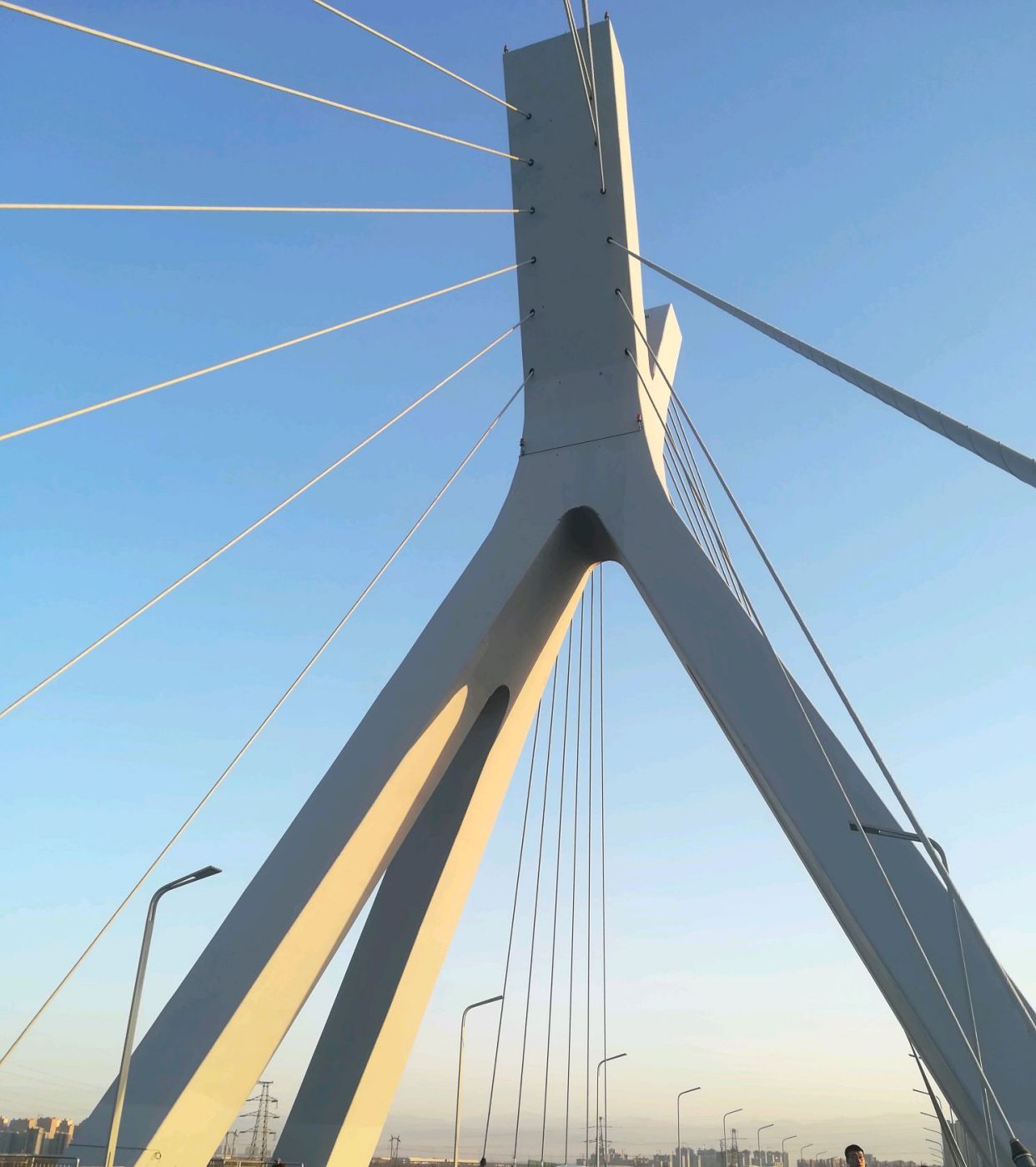 打卡咸阳高新一号桥